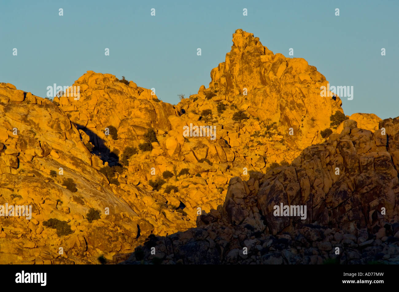 La luce del tramonto sul boulder roccia a picco roccioso vicino a molle di quaglia Joshua Tree National Park California Foto Stock