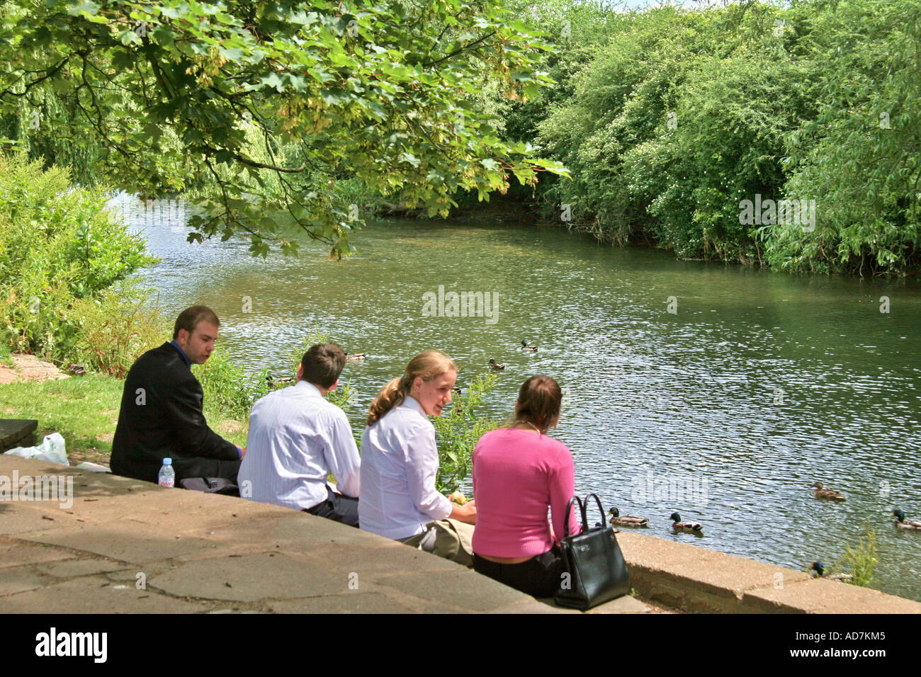 Gli amici sorseggiando picnic sulle rive del fiume Foto Stock