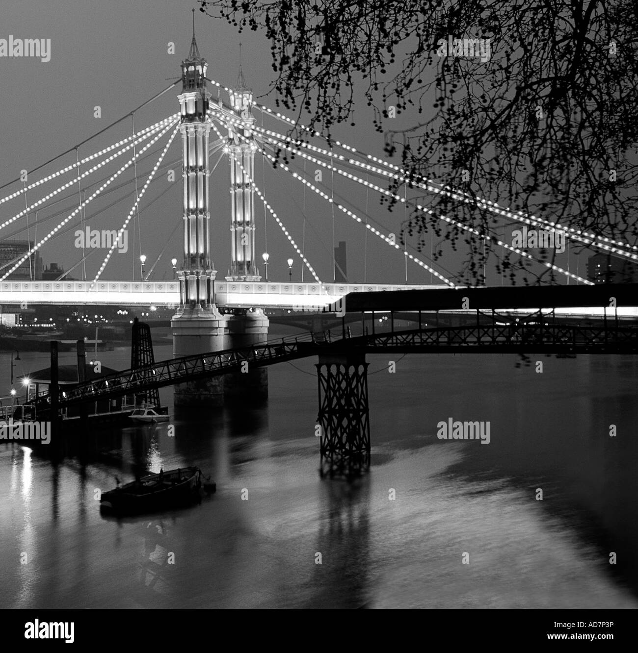 Albert Bridge di notte Foto Stock