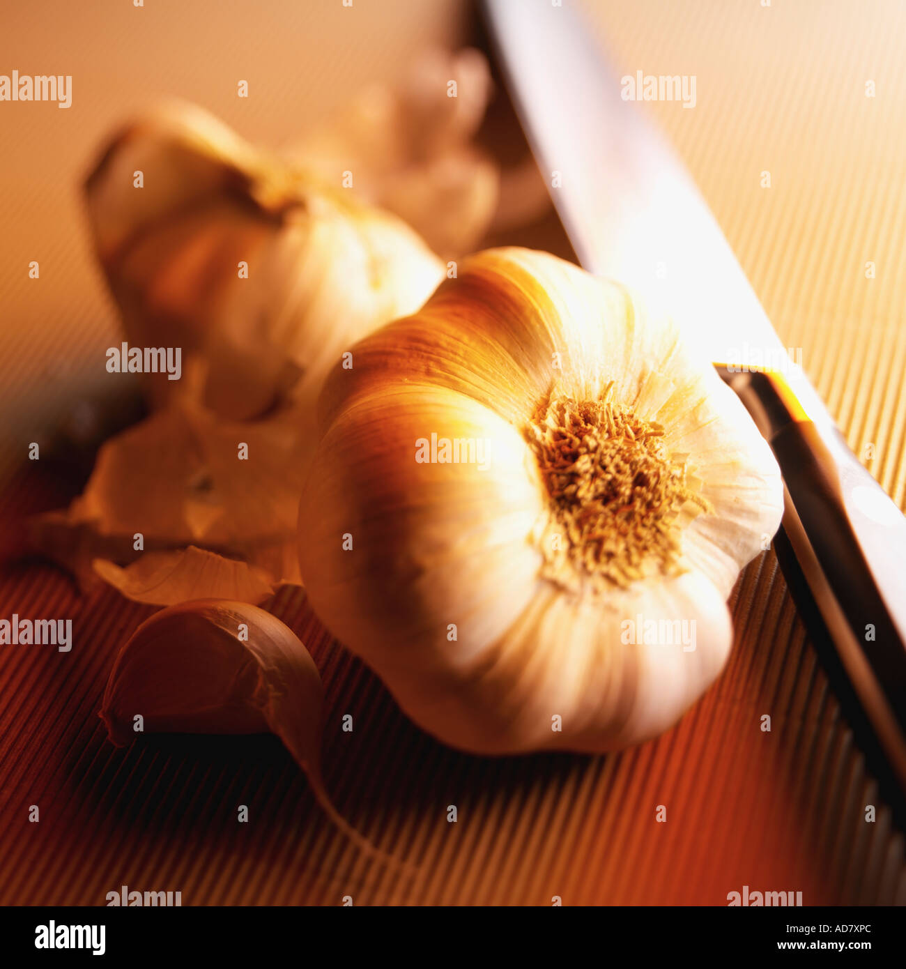 Bulbo di aglio Foto Stock