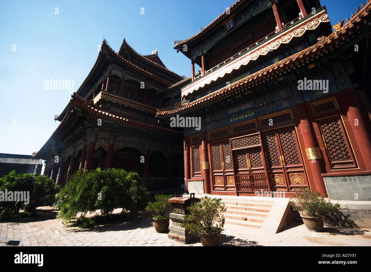 Llama tempio, Pechino Foto Stock