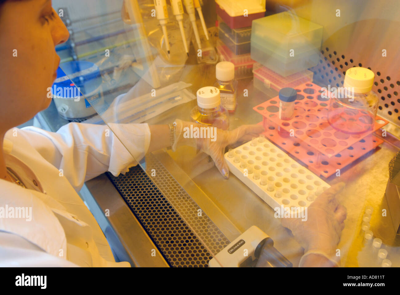 Tecnico di laboratorio che lavora presso il laboratorio di ricerca della clinica di fecondazione in vitro IVF presso il Rambam Medical Center di Haifa. Israele Foto Stock