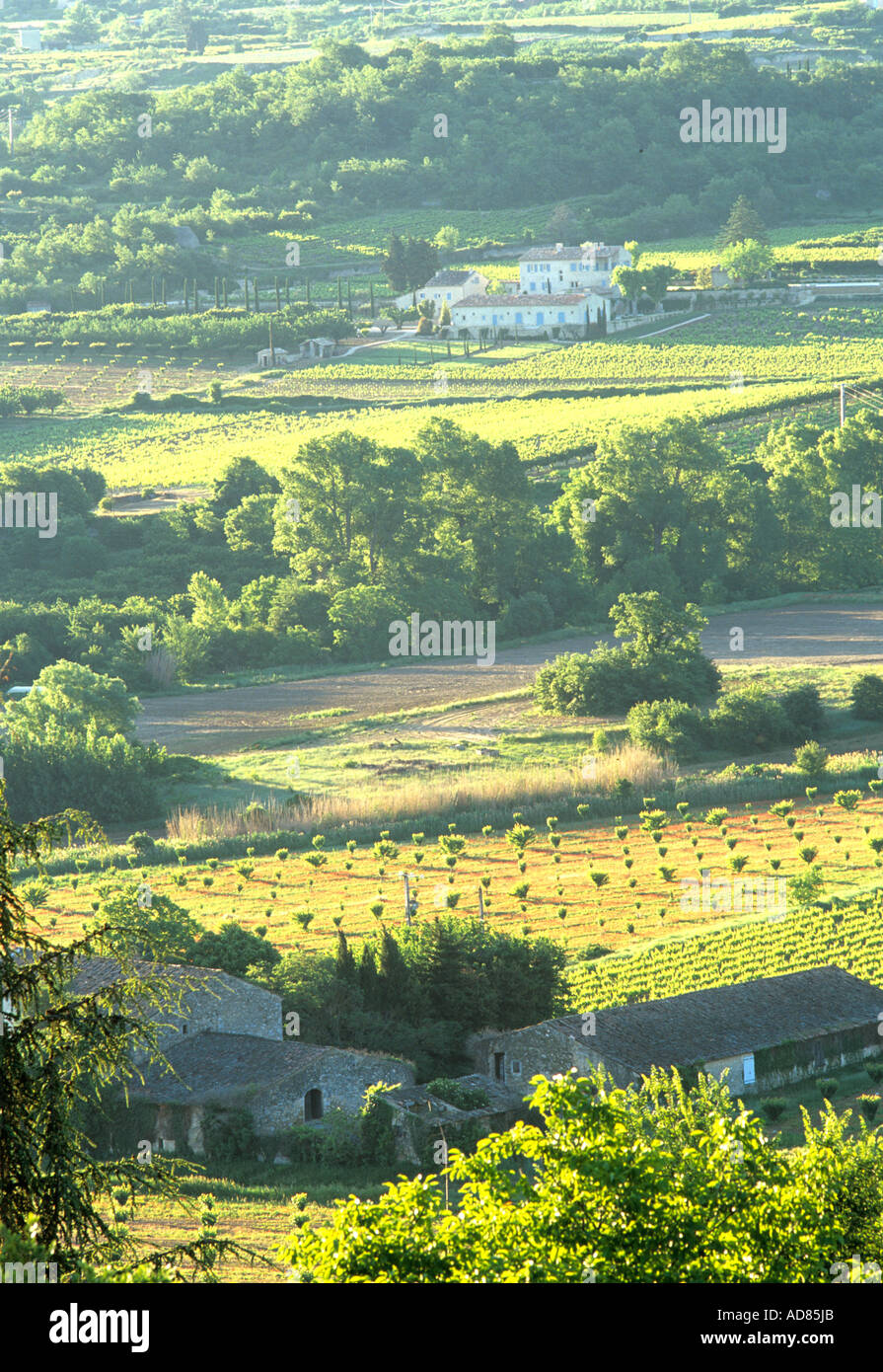 Paesaggio provenzale, Francia Foto Stock