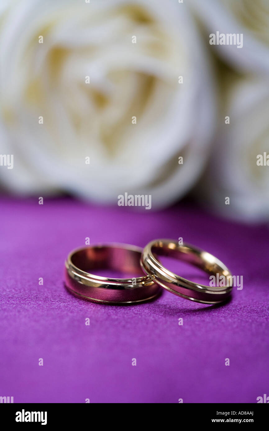 Per lui e per lei gli anelli di nozze su seta viola con rosa bianca sullo sfondo Foto Stock