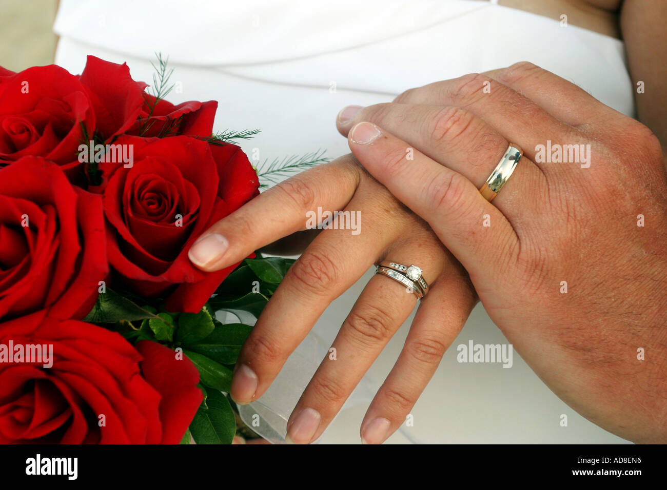 La sposa e lo sposo visualizzare i loro anelli di nozze Foto Stock