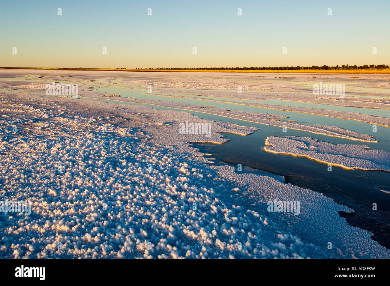 Salt Lake all alba la Canning Stock Route Australia Occidentale Foto Stock