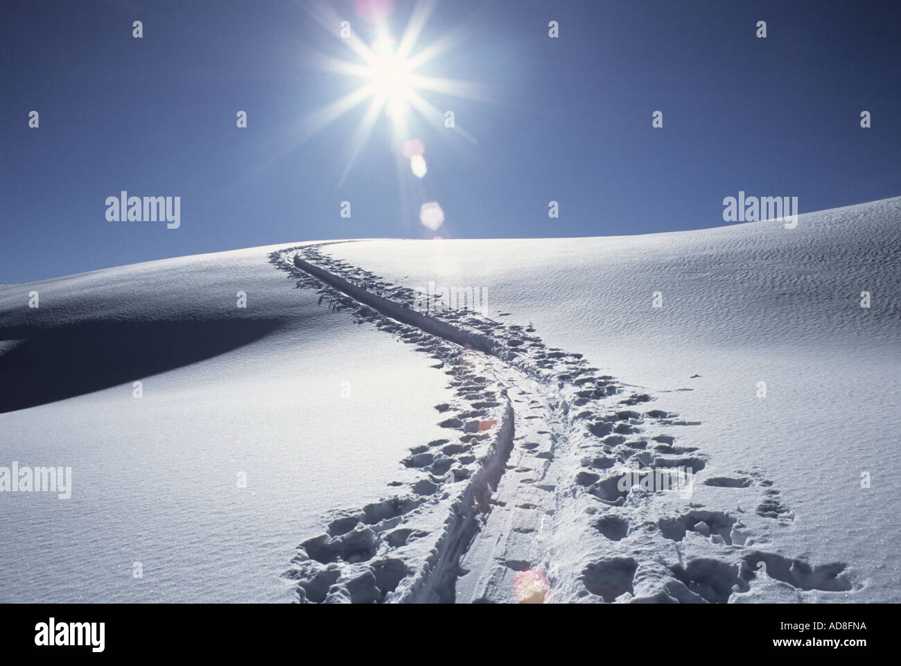 Backcountry tracce, il monte Baker Foto Stock
