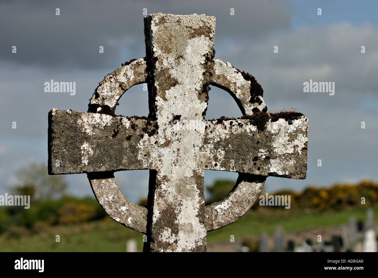 Licheni e muschi formano un mosaico sopra una croce celtica grave marker Abbazia Burrishoole Paese Mayo Irlanda Foto Stock