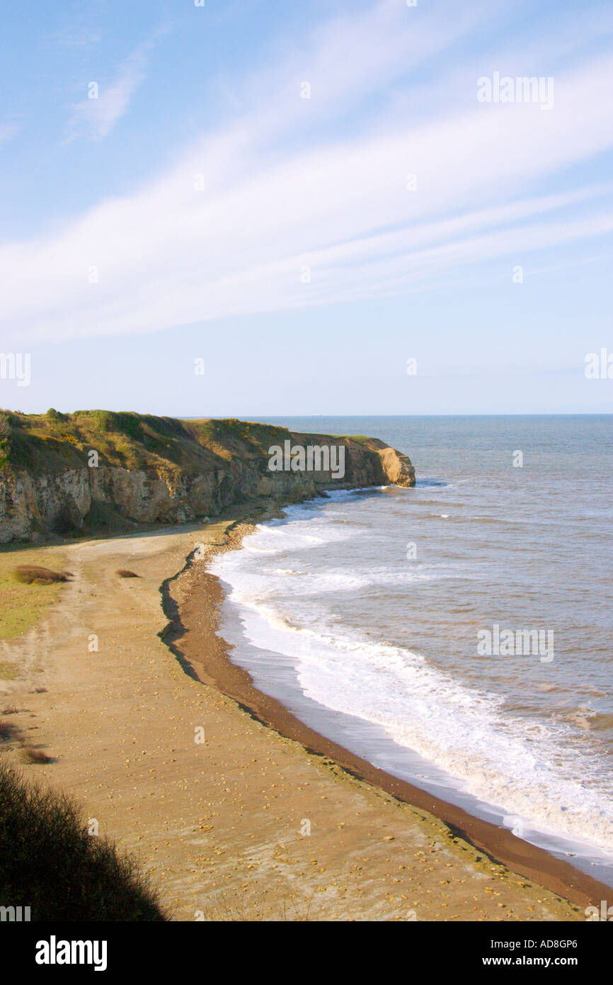 Biancospino Hive beach, Co Durham, Regno Unito Foto Stock