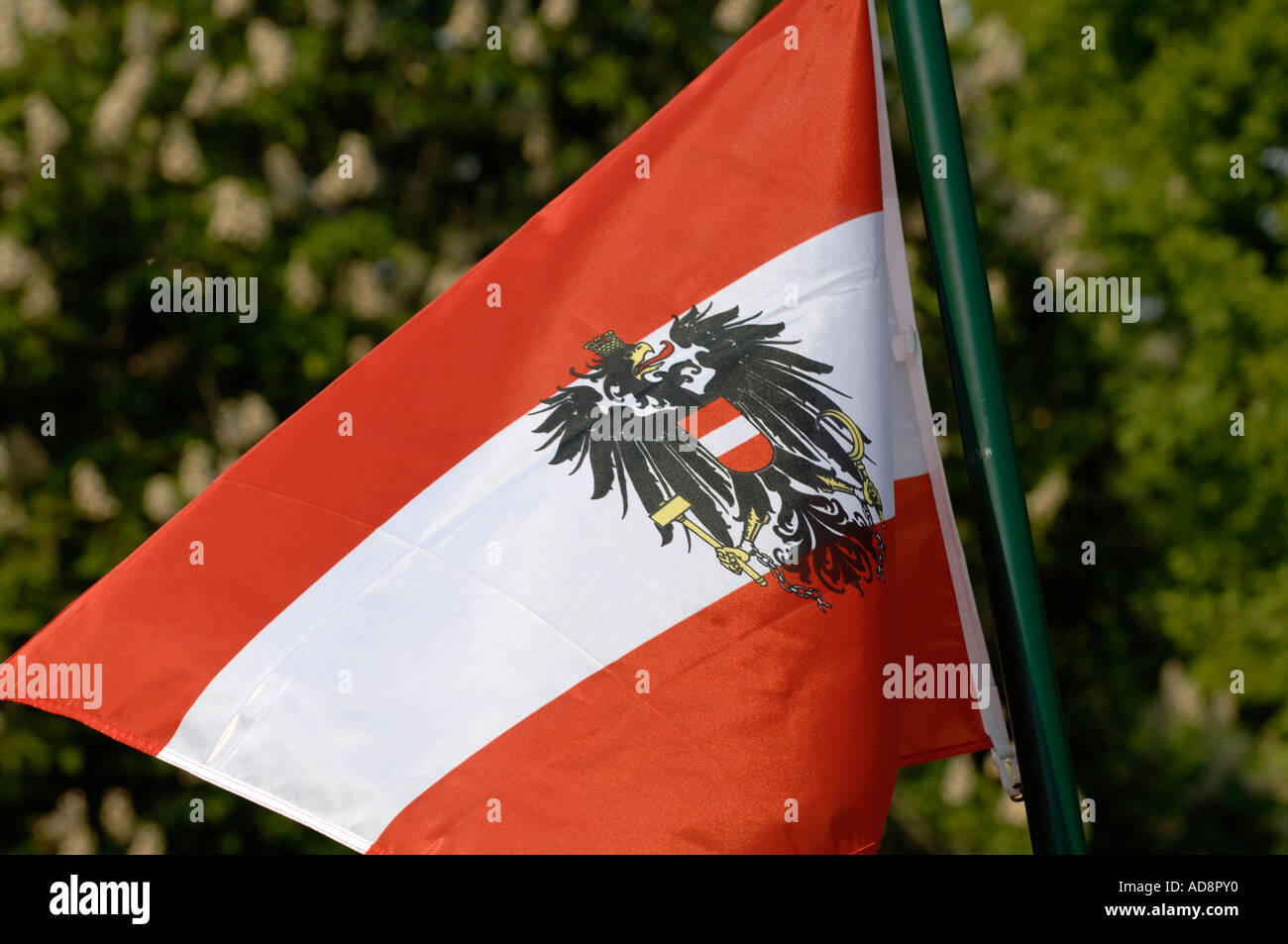 Bandiera austriaca Foto Stock