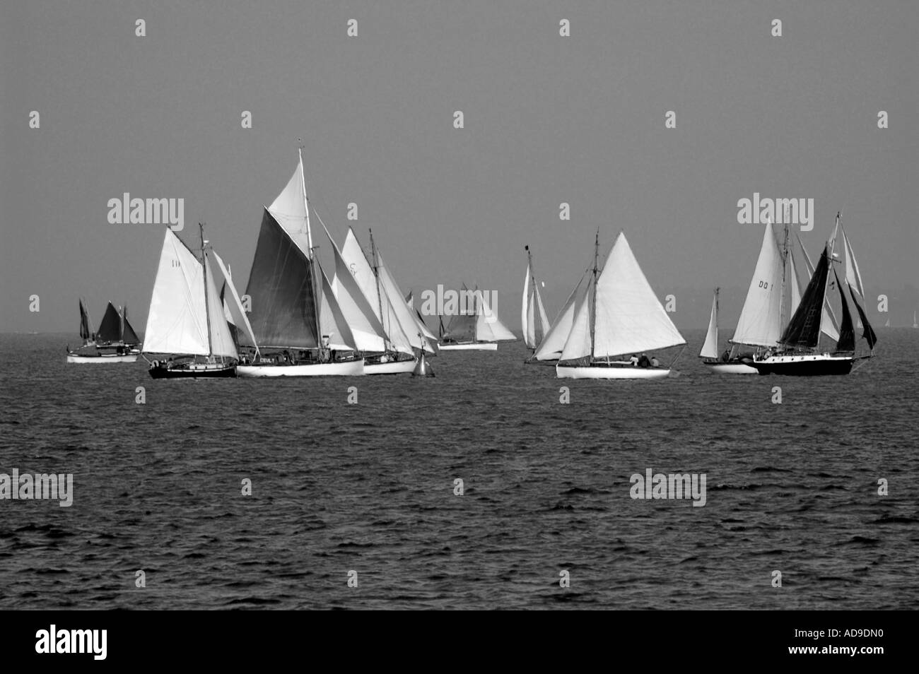 Old Gaffers settimana, Yarmouth, Isle of Wight, England, Regno Unito, GB. Foto Stock