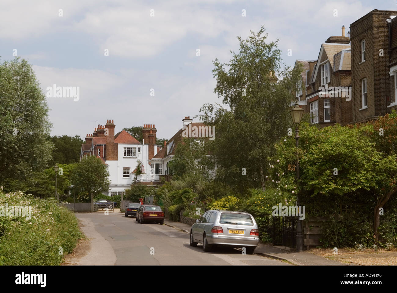 North View (strada), grandi case familiari indipendenti si affacciano su Wimbledon Common Londra SW19 Inghilterra Regno Unito 2006 2000s HOMER SYKES Foto Stock