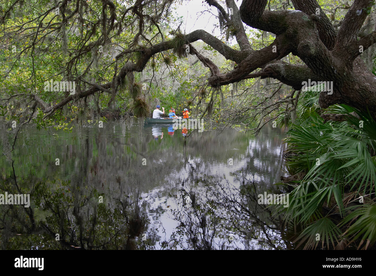 Canoa in Sud Creek a Oscar Scherer stato parco Osprey Florida Foto Stock