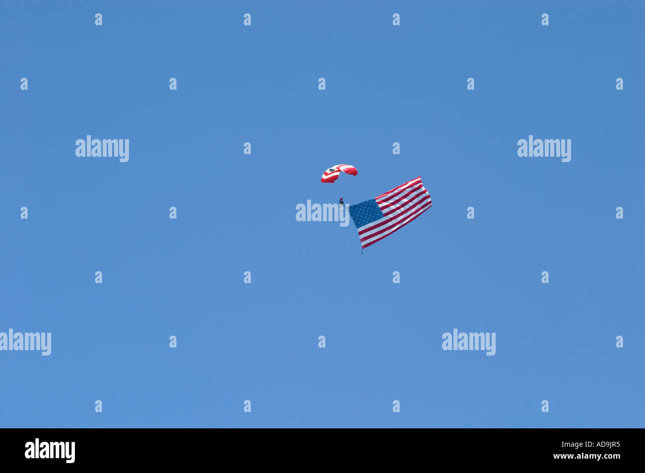 Sky Diver che porta bandiera americana con bandiera americana parachute Foto Stock