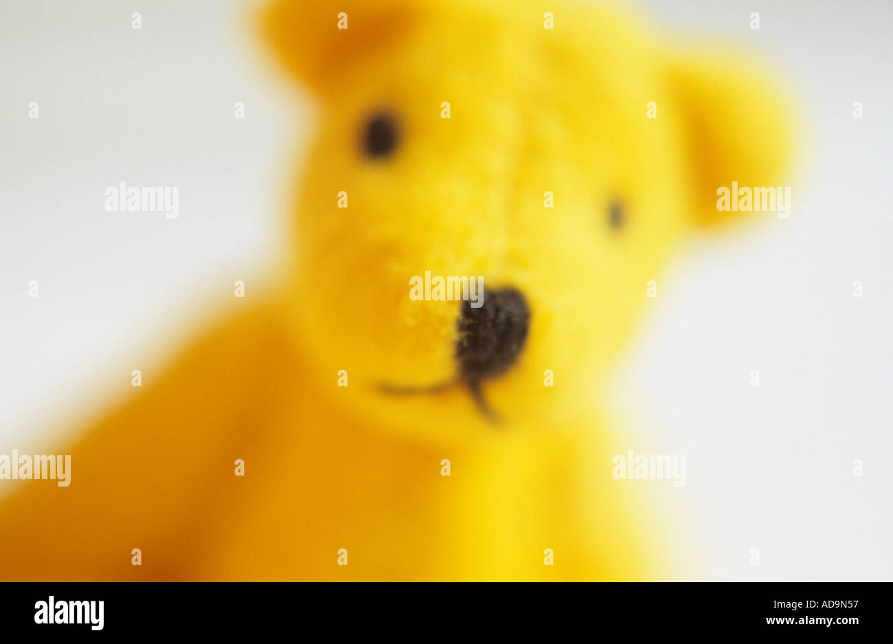 Defocussed close up di un piccolo orsetto di peluche giallo guardando quizzical o perplesso con sfondo bianco Foto Stock