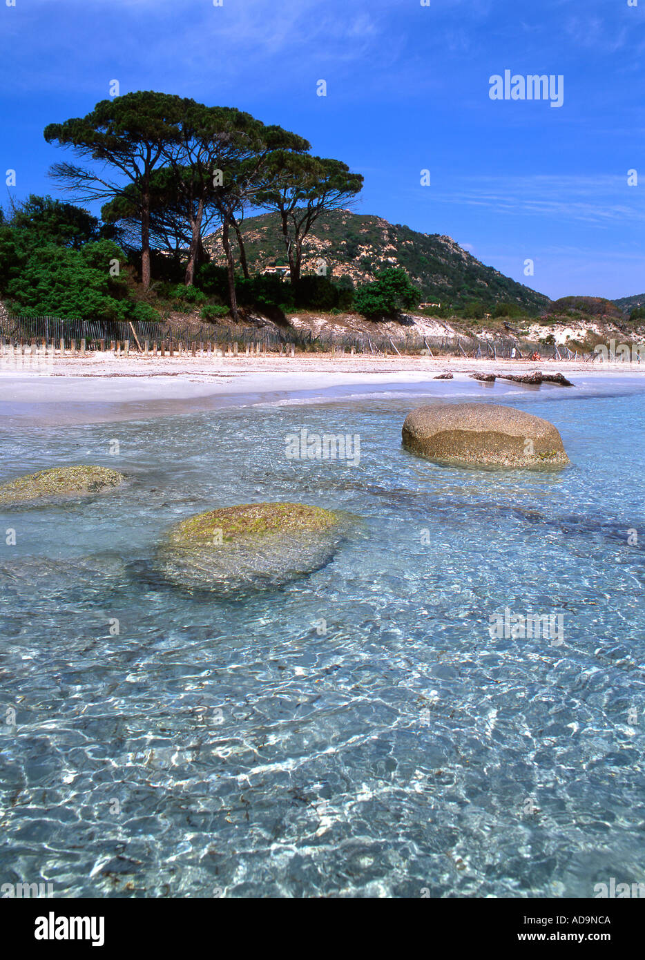 La Corsica Spiaggia di Palombaggia Francia Foto Stock