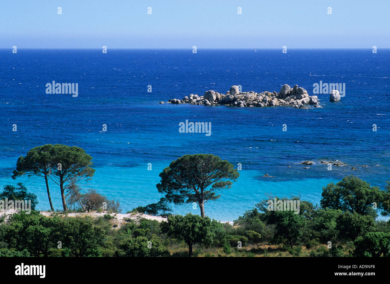 Spiaggia di Palombaggia Corsica Francia Foto Stock