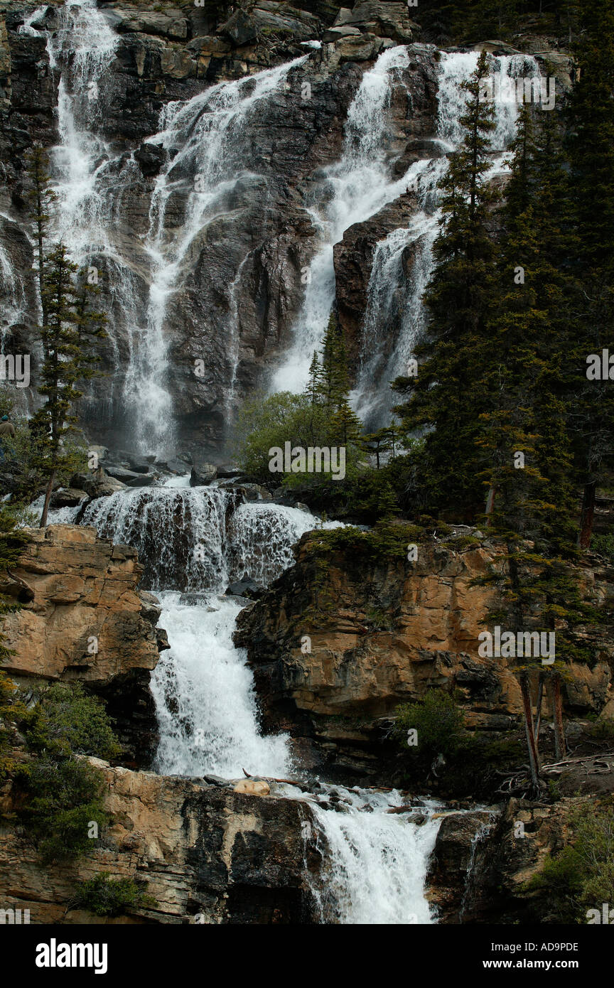 Groviglio Cascate del Parco Nazionale di Jasper Alberta Canada Foto Stock