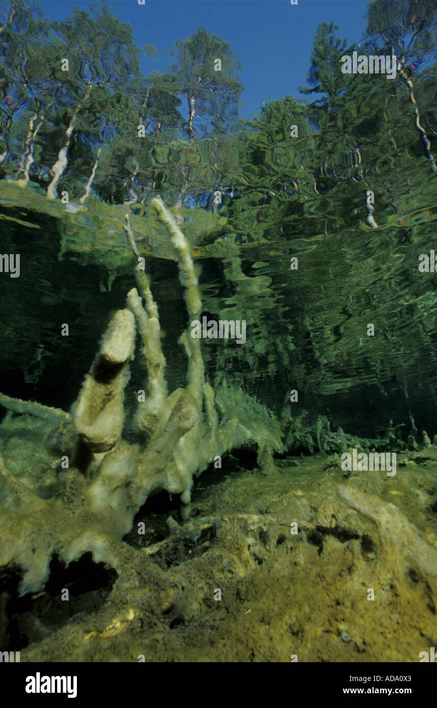 Struttura incassata in un lago, Tirolo Foto Stock