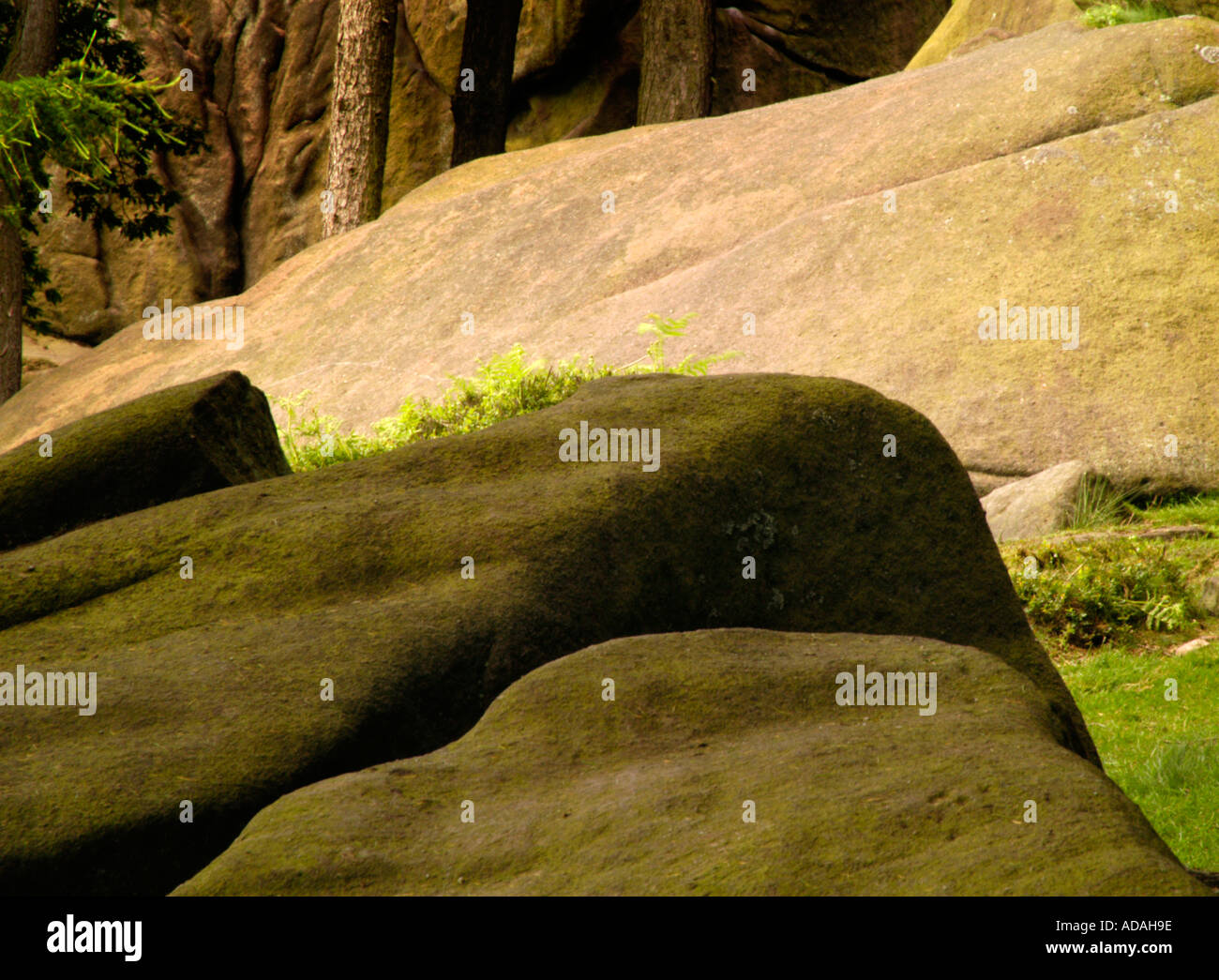 White Peak District nel giugno Rockall il roaches Foto Stock