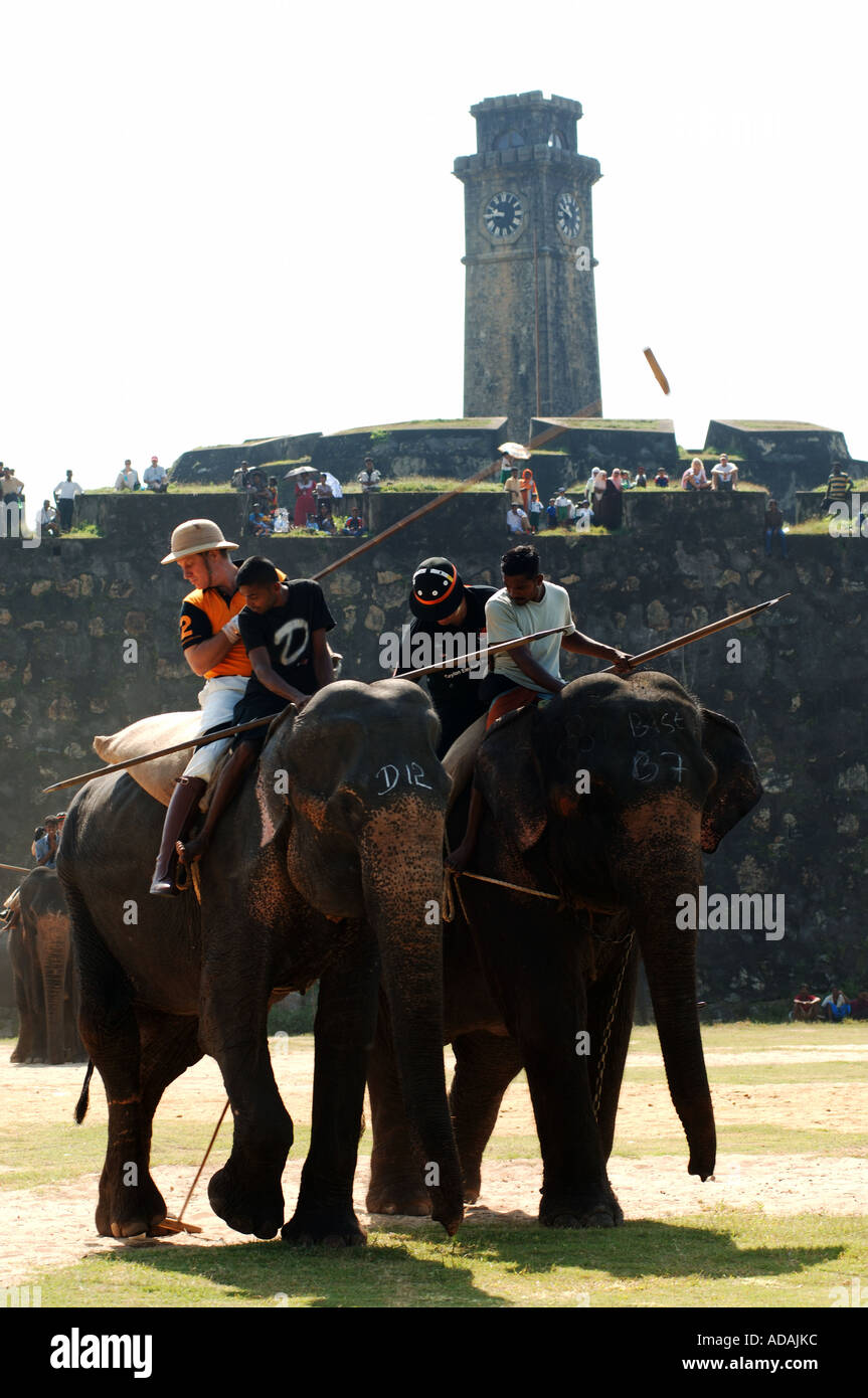 Forte Galle elephant polo match Foto Stock
