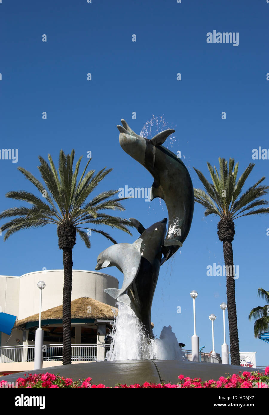 Aquarium Of The Pacific Long Beach Immagini e Fotos Stock - Alamy
