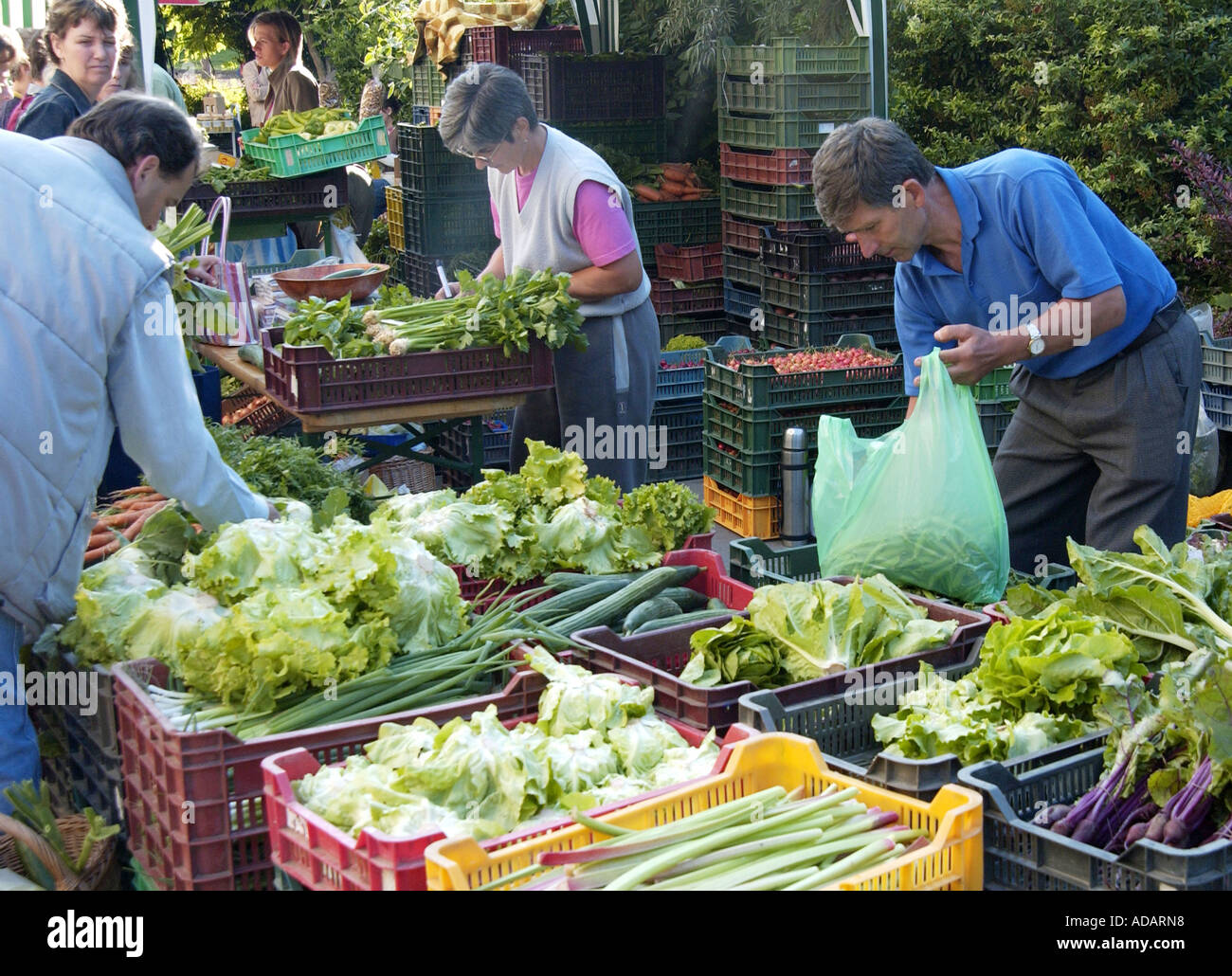 Organico di mercato a Budapest, Ungheria Foto Stock