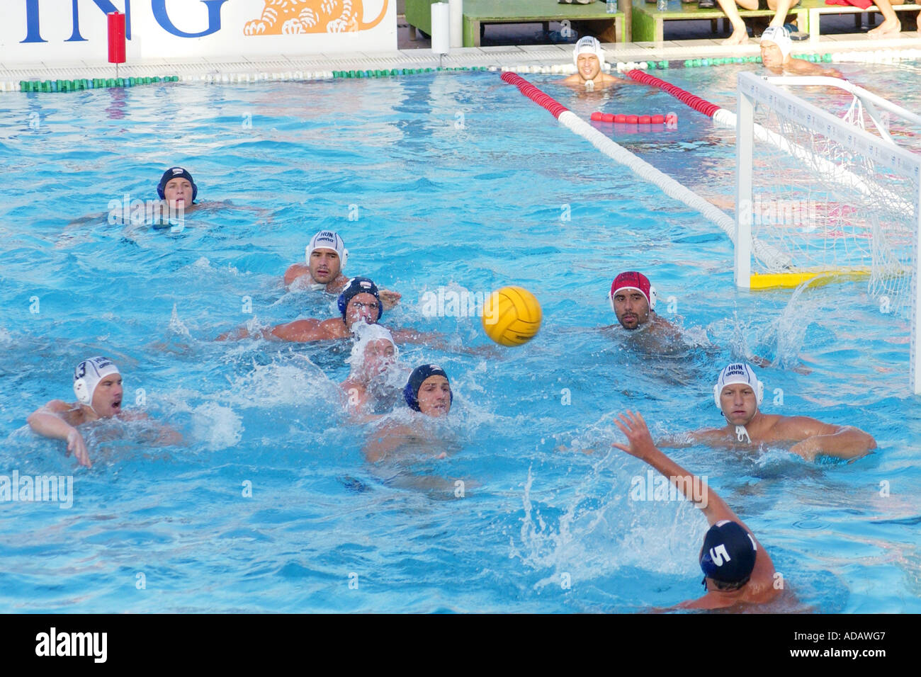 Campionato del Mondo di pallanuoto corrispondono a Budapest Ungheria Foto Stock