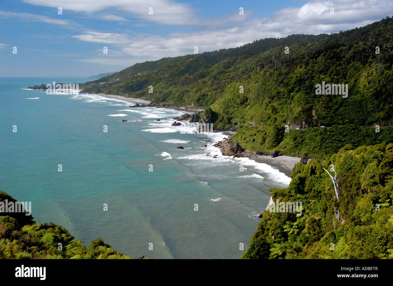 Sulla costa nord occidentale dell'Isola Sud della Nuova Zelanda Foto Stock