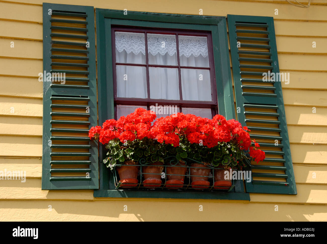 Window box Akaroa banche Peninsular Isola del Sud della Nuova Zelanda Foto Stock