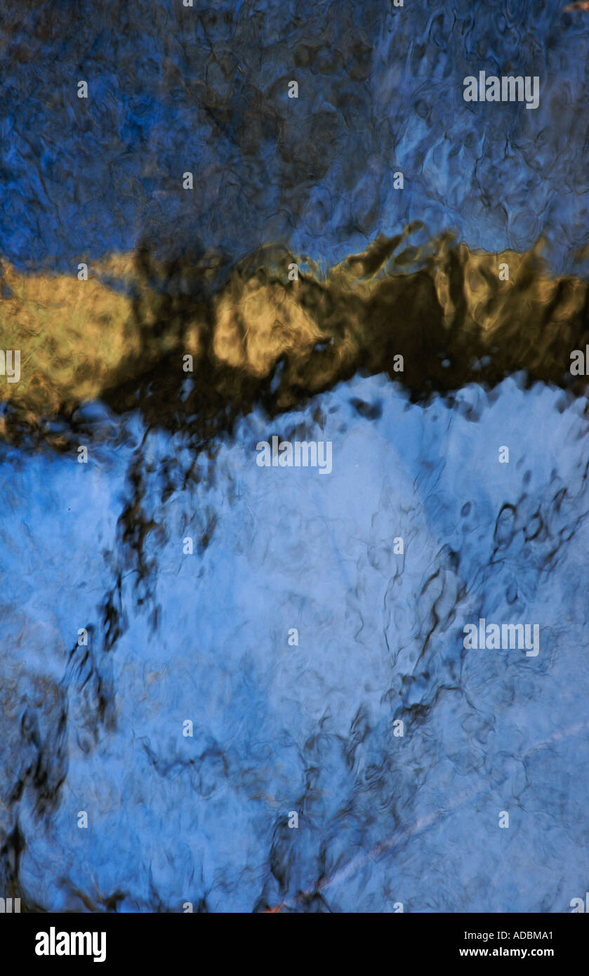 La riflessione di alberi in acqua Foto Stock