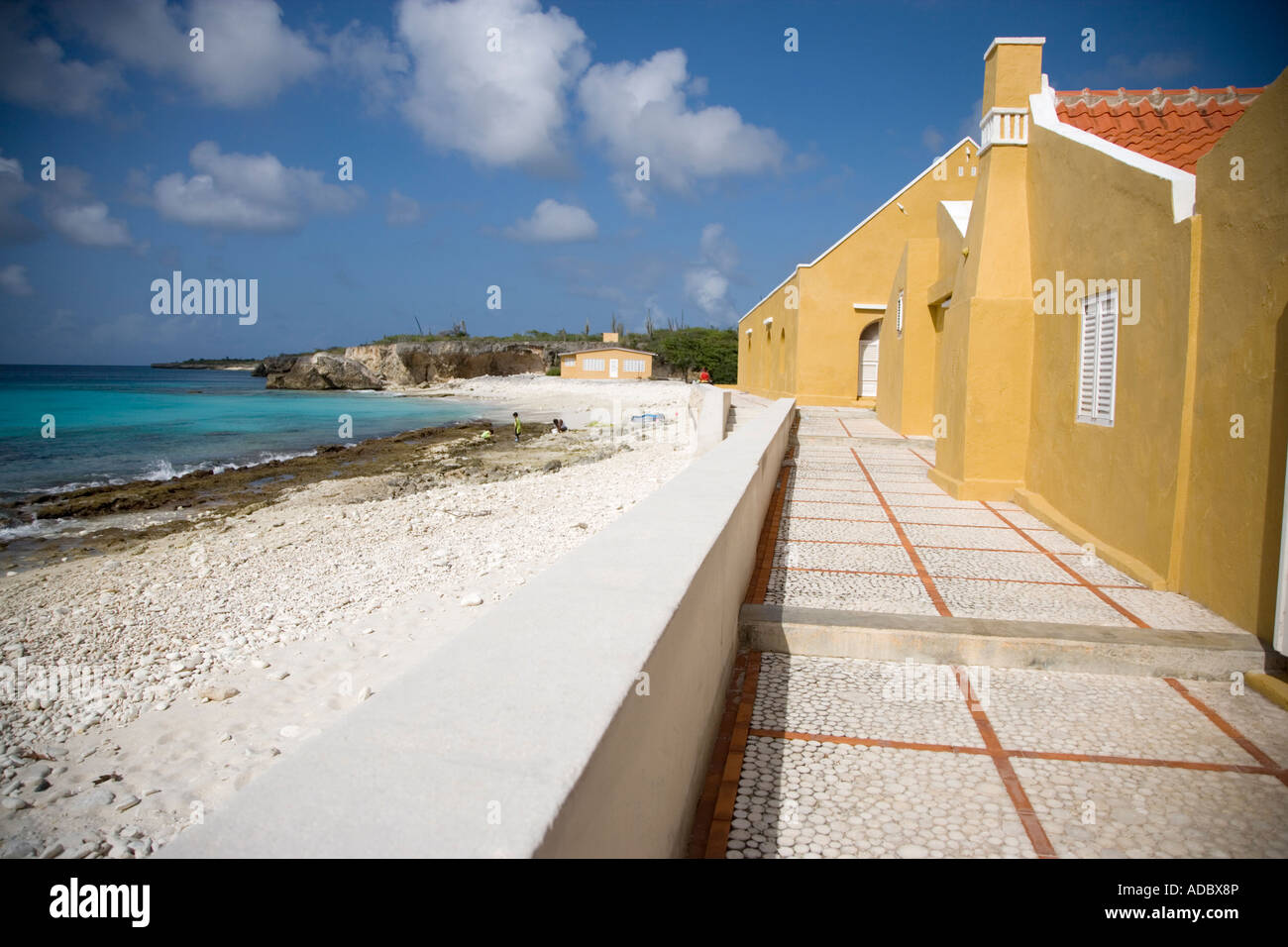 Slagbaii Parco Nazionale vicino alla spiaggia, Bonaire, Netherland Antillies Foto Stock