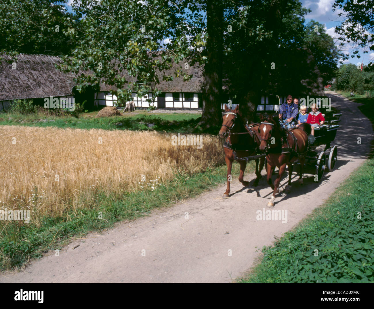 A cavallo e cavalcare carrello, Den Fynske Landsby, Funnen village (a sud di Odense), Fyn (Funen), Danimarca Foto Stock
