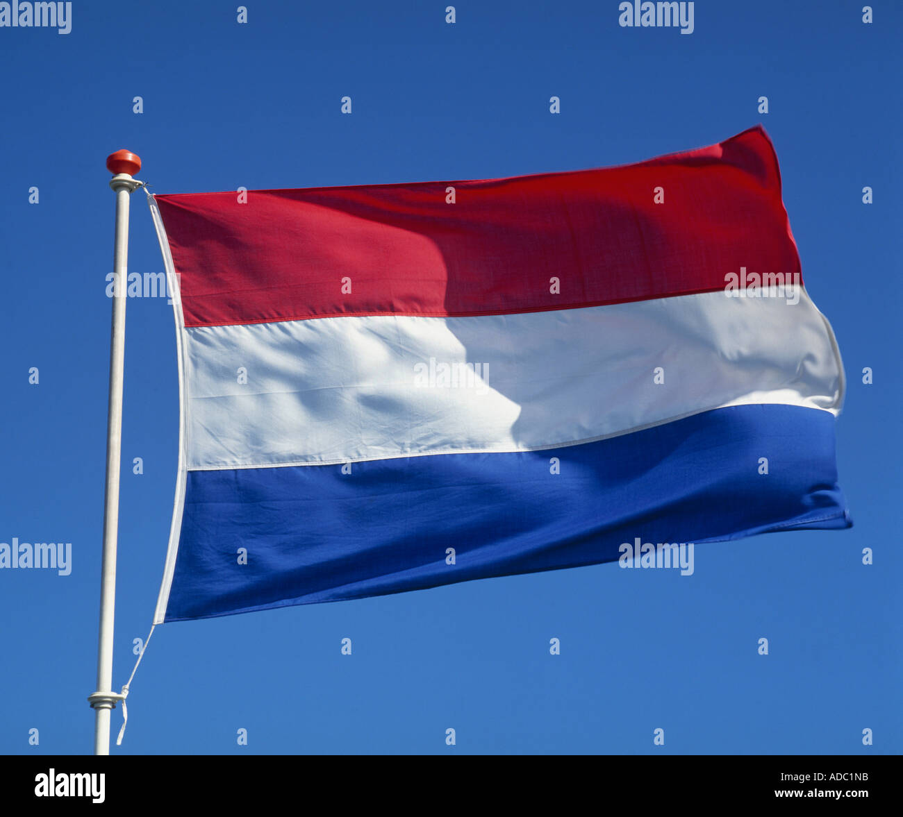 Bandiera olandese Foto Stock