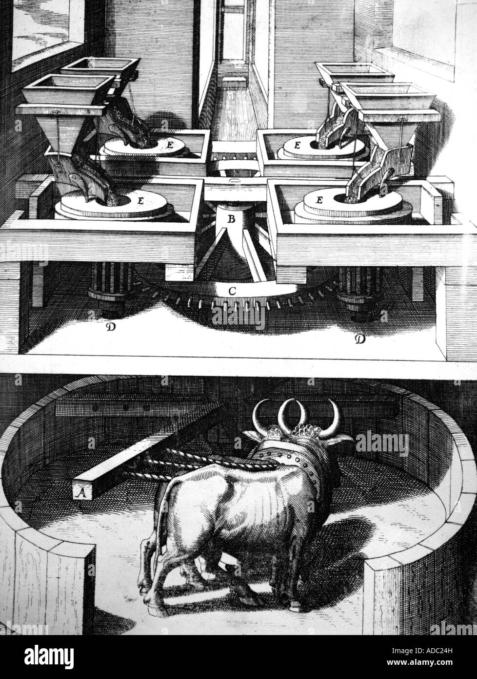 Animale Powered macchina fresatrice xvii secolo incisione Foto Stock