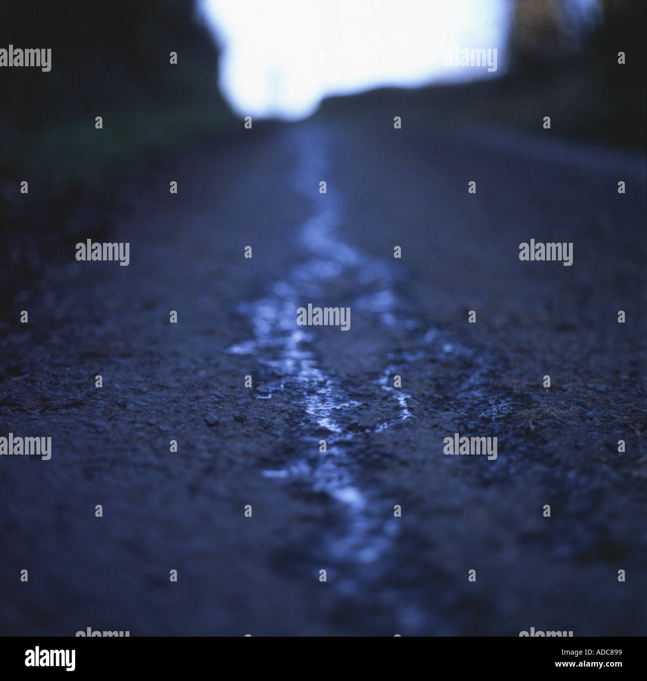 Close-up low angle view di acqua che gocciolava all'asfalto di strada di campagna in Galles, UK KATHY DEWITT Foto Stock