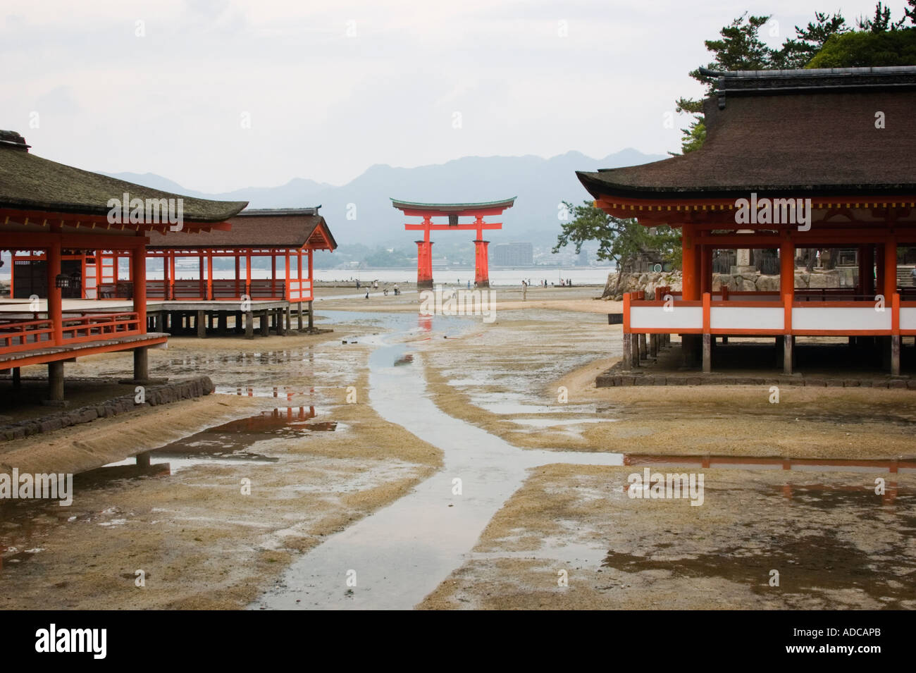 La floating gate torii al santuario di Itsukushima durante la bassa marea, l'isola di Miyajima, Prefettura di Hiroshima, Regione Chugoku, Giappone Foto Stock