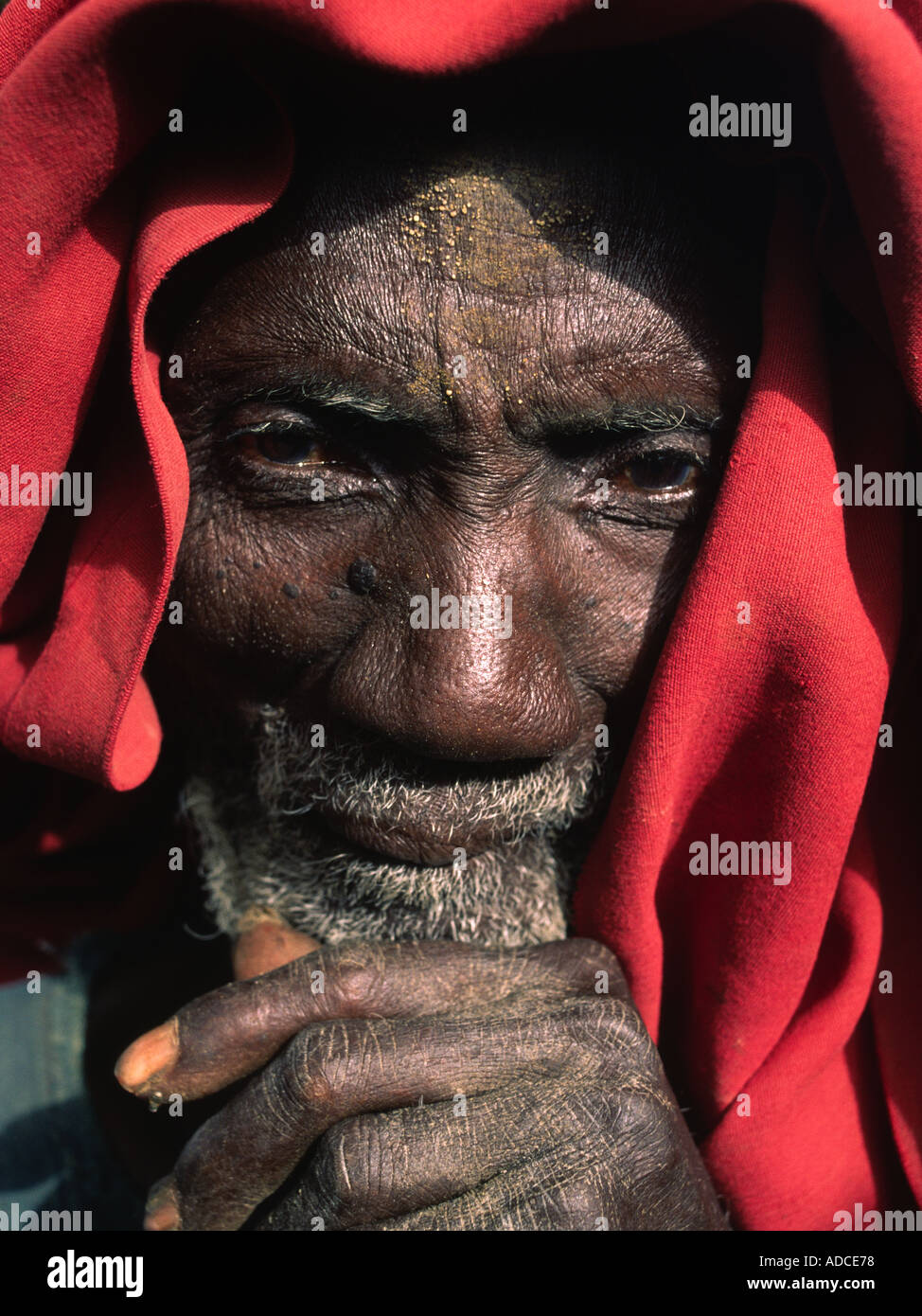 Villaggio sambuco Tougoume Mali Foto Stock