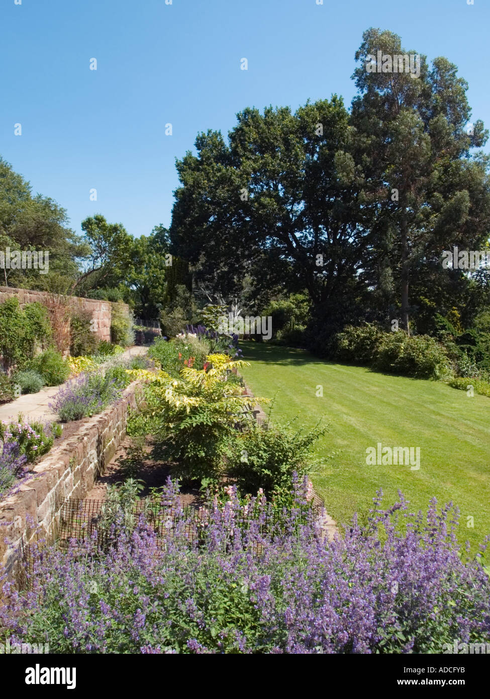 Giardini Botanici di Ness Fiore di confine e percorso in estate. Neston Cheshire England Regno Unito Foto Stock