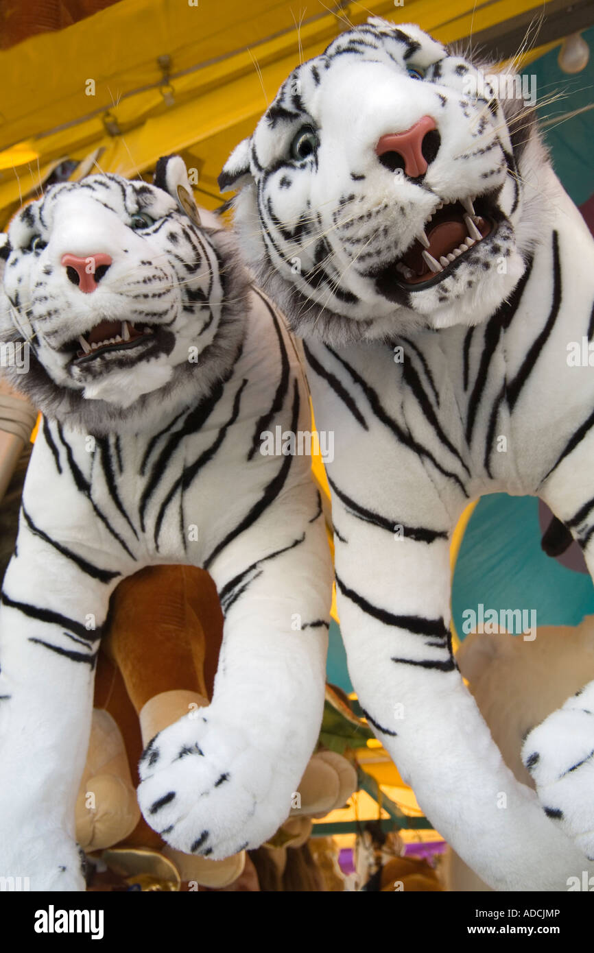 Due animali impagliati tigri bianche appendere sul display alla fiera della contea. Foto Stock