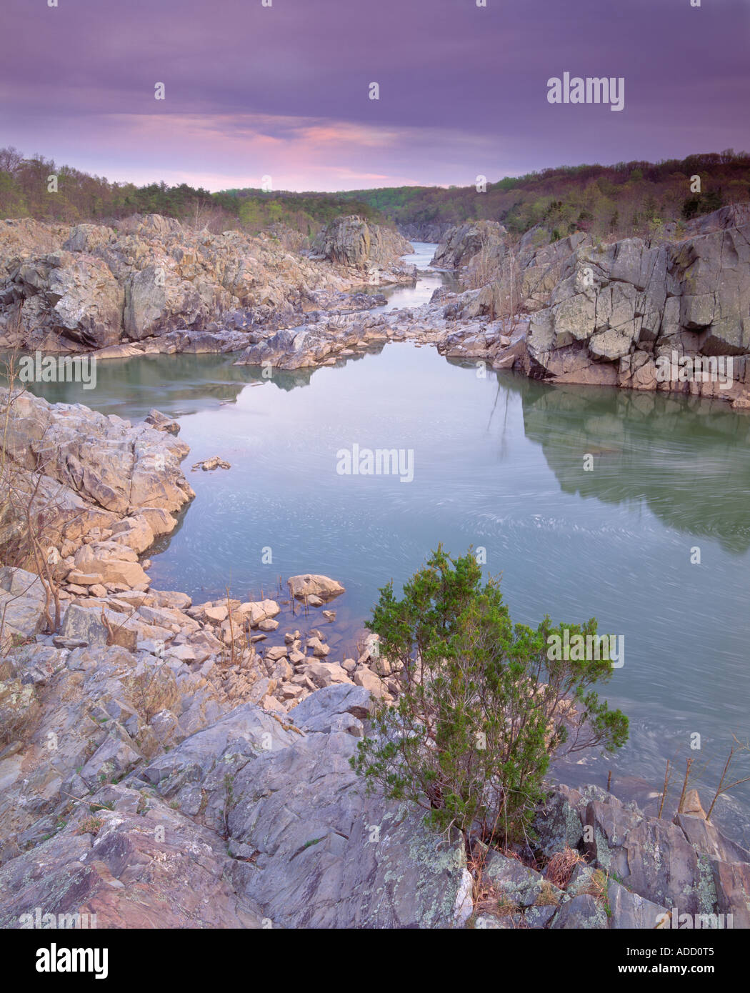 Potomac River vicino isola sabbiosa a Great Falls Park, Maryland, Stati Uniti d'America. Foto Stock