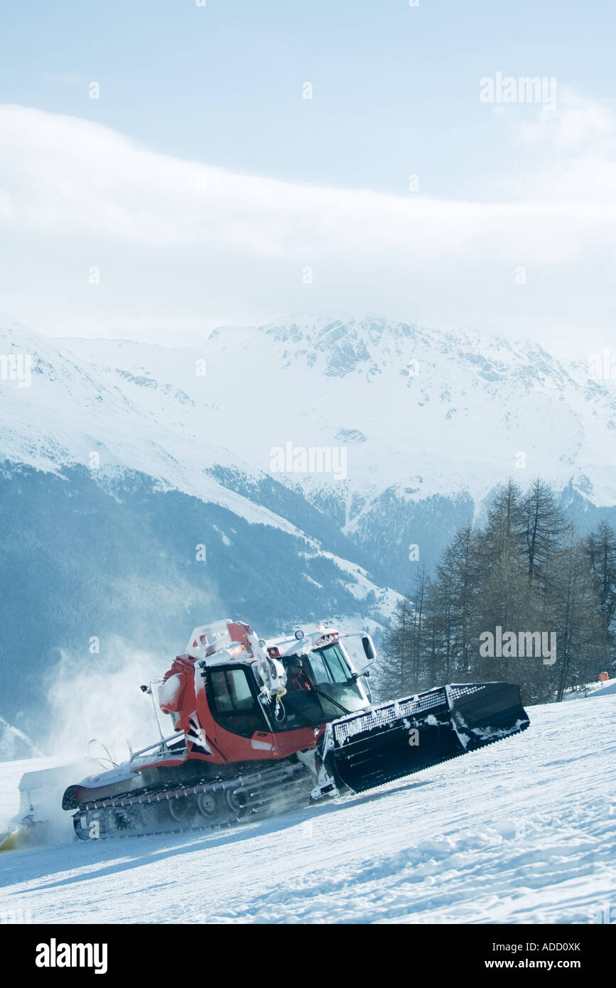 Spartineve sul pendio di montagna Foto Stock