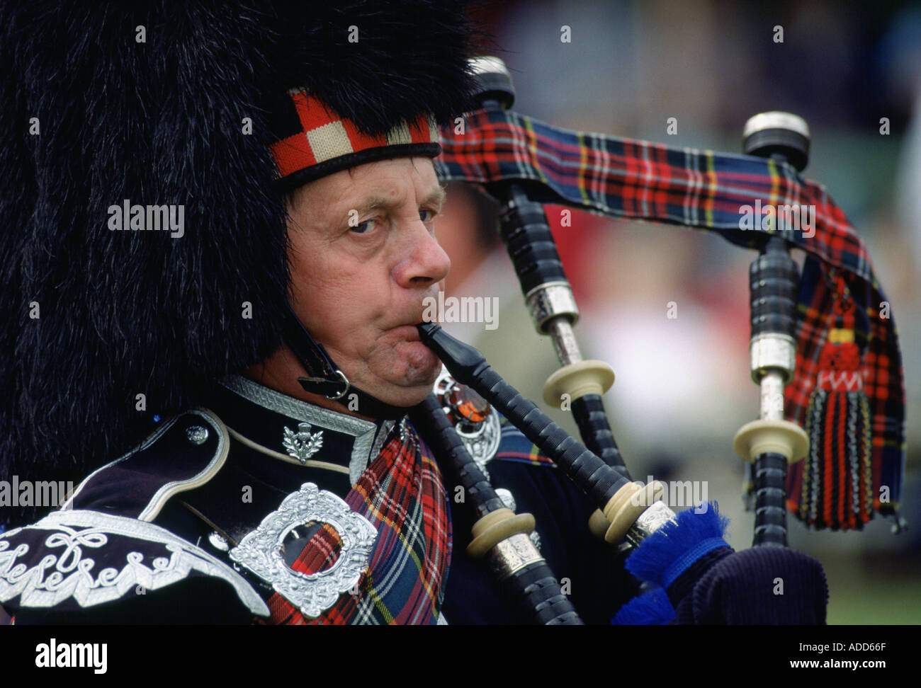 Scottish Piper riproduzione di cornamuse a Braemar Giochi Braemar in Scozia Foto Stock