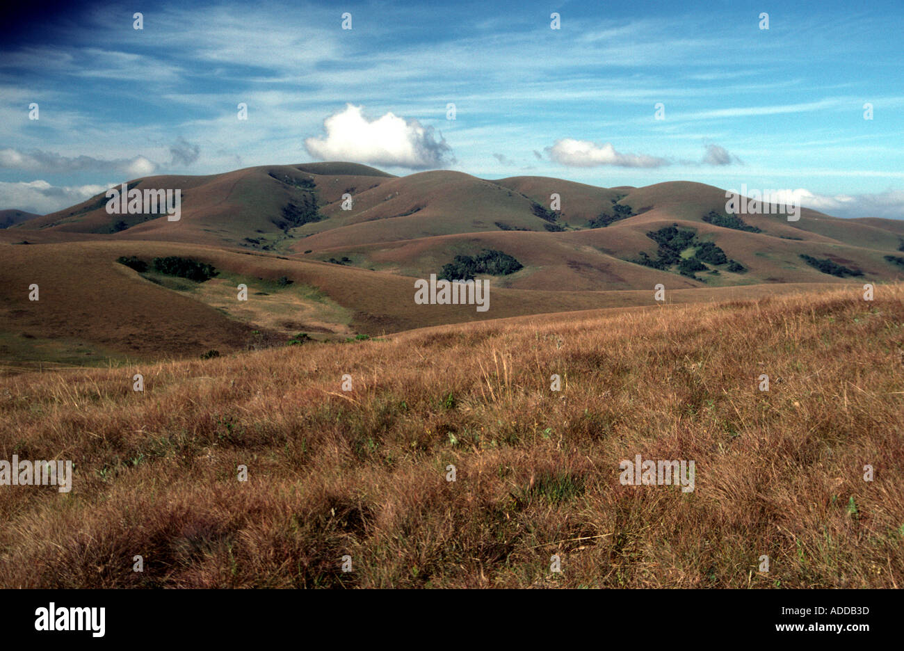 Nyika Plateau Africa Malawi Foto Stock