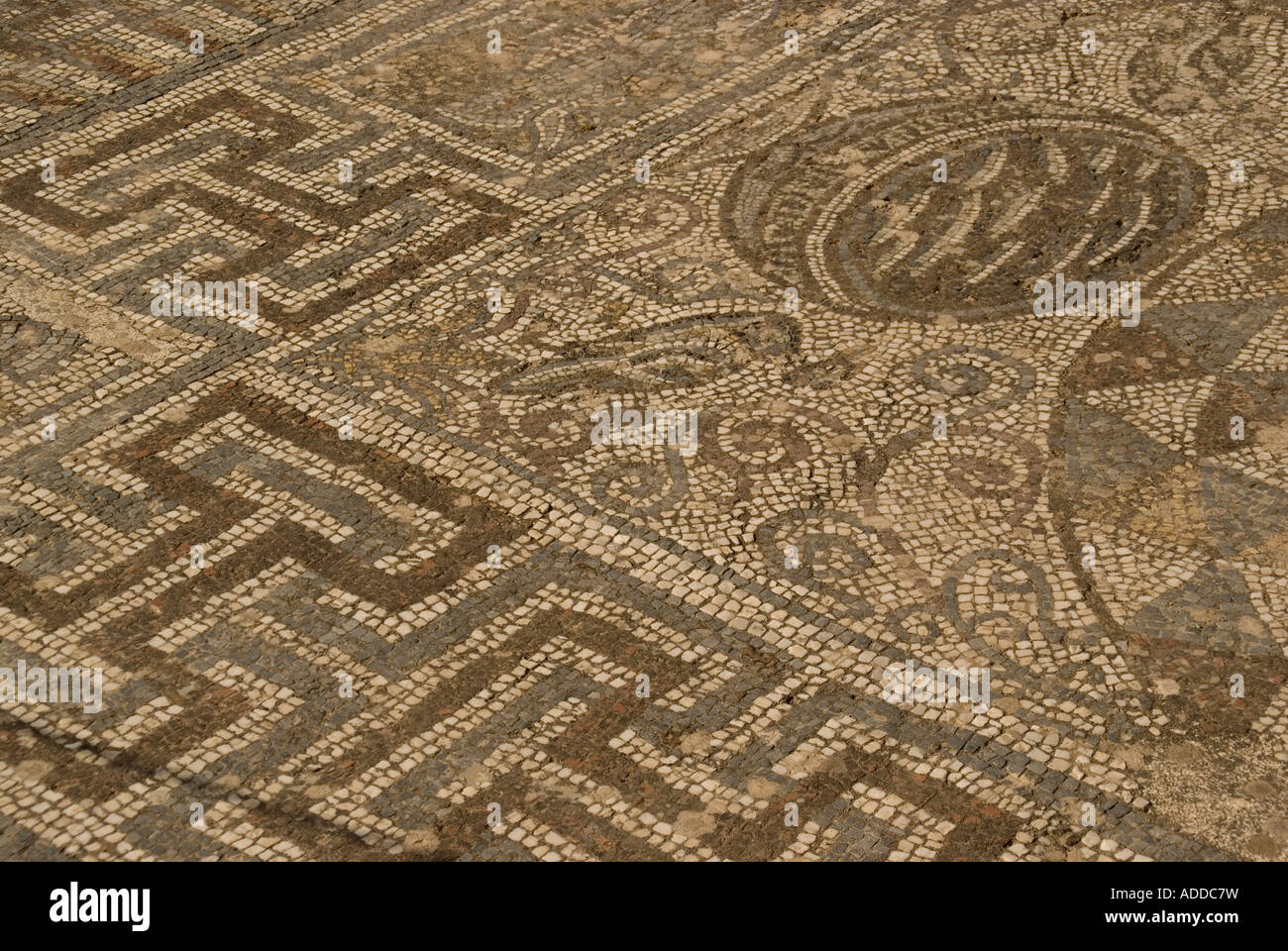 Mosaico romano pavimento piastrellato in Efeso, Turchia Foto Stock