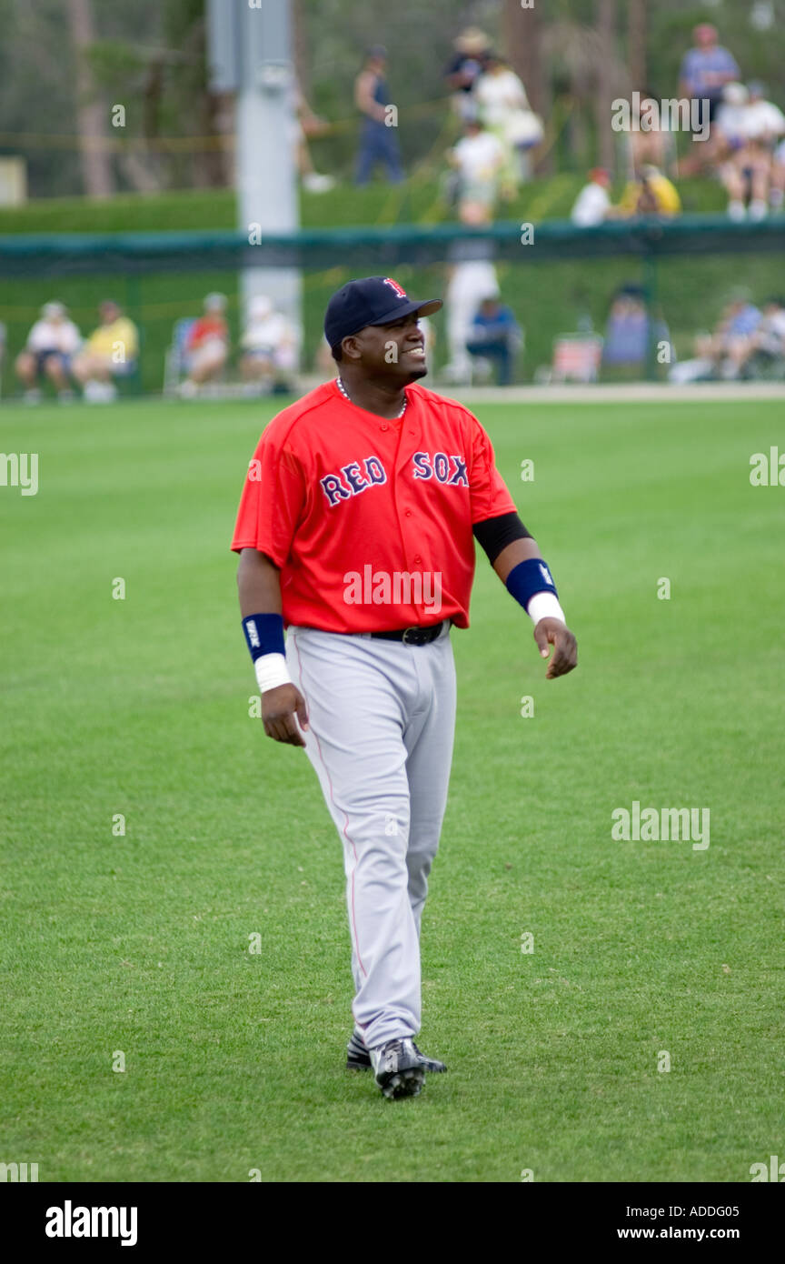 Boston Red Sox DH David Ortiz Foto Stock