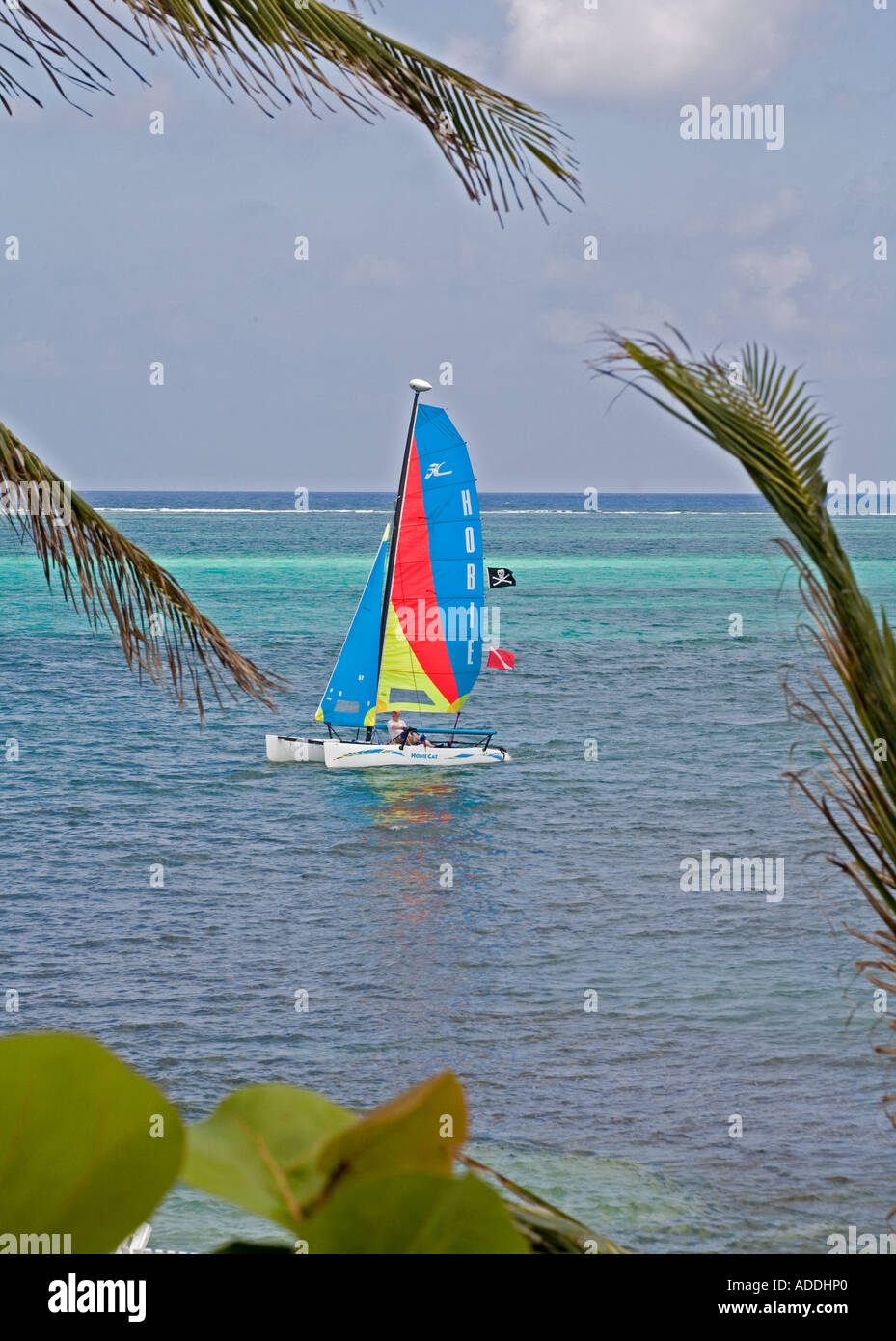 San Pedro Belize un catamarano naviga nel mare dei Caraibi a Ambergris Caye Foto Stock
