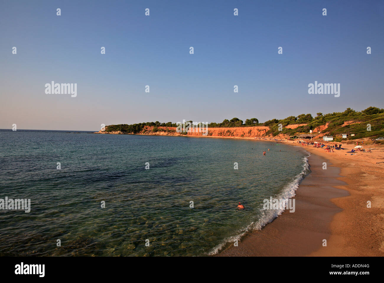 Grecia Sporadi isola Skiathos una vista della spiaggia di XERXES Foto Stock