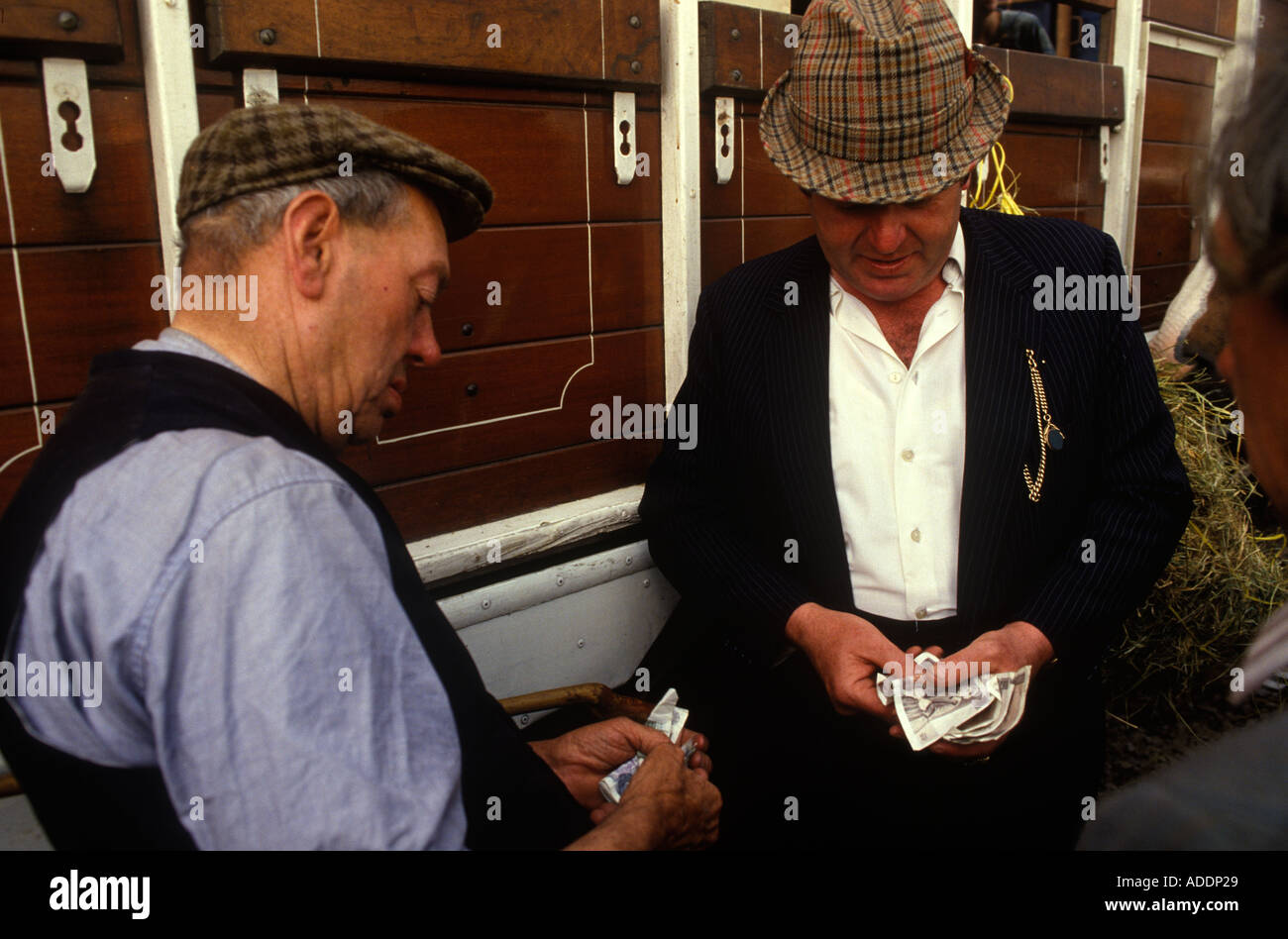 Contanti in mano un distributore di cavalli di pagamento che contano i merluzzi di denaro, Appleby Gypsy Horse Fair Appleby a Westmorland Cumbria 1980s 1985 HOMER SYKES Foto Stock