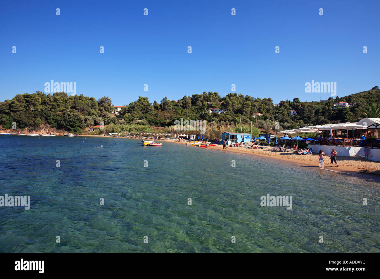 Grecia Sporadi isola Skiathos UNA VISTA DI KANAPITSA BEACH Foto Stock